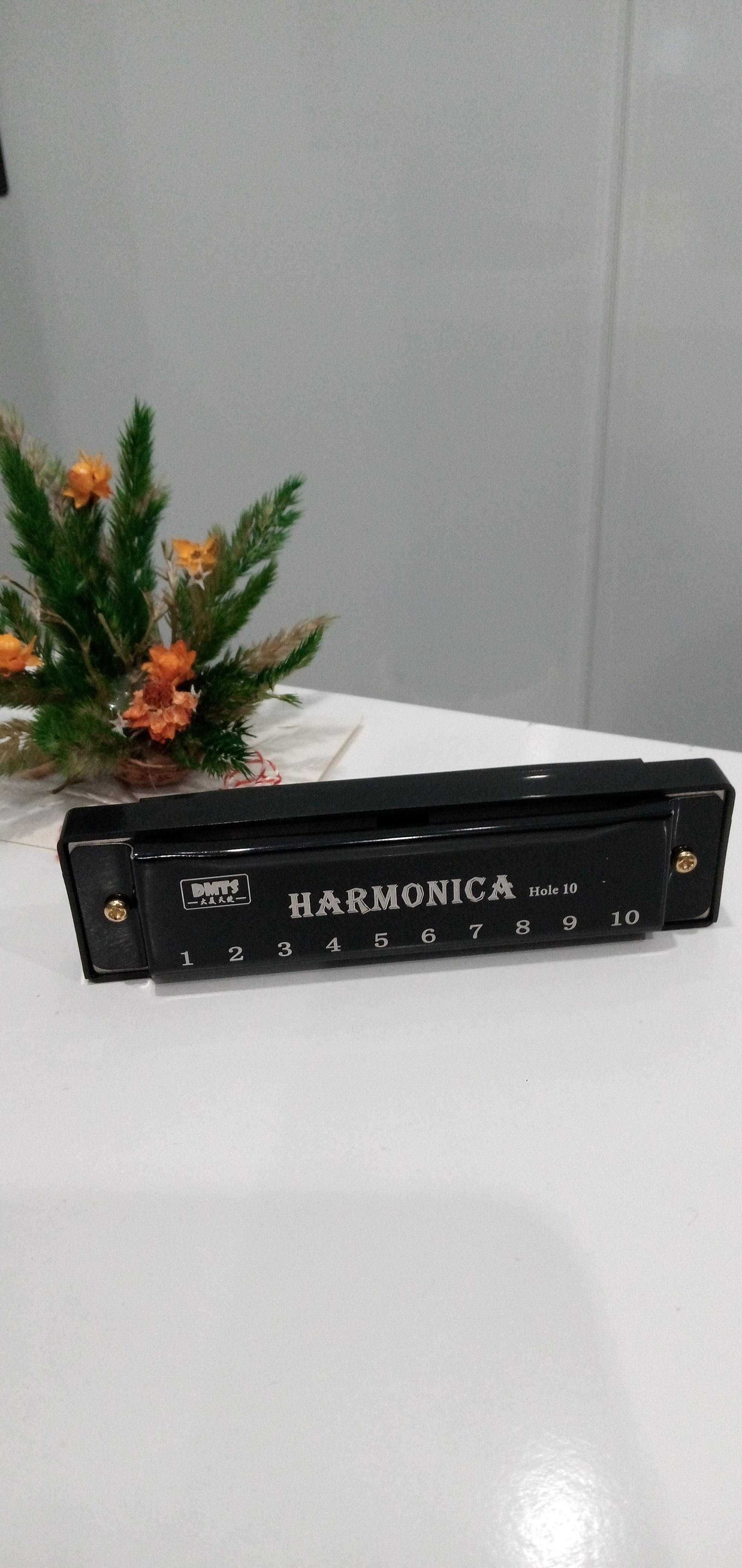 Найкращий подарунок! Губна гармошка блюзова для початківців Harmonica