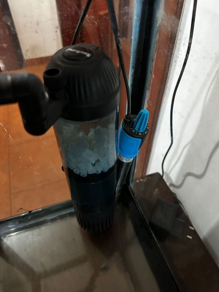 Aquario 100L + Movel + acessórios