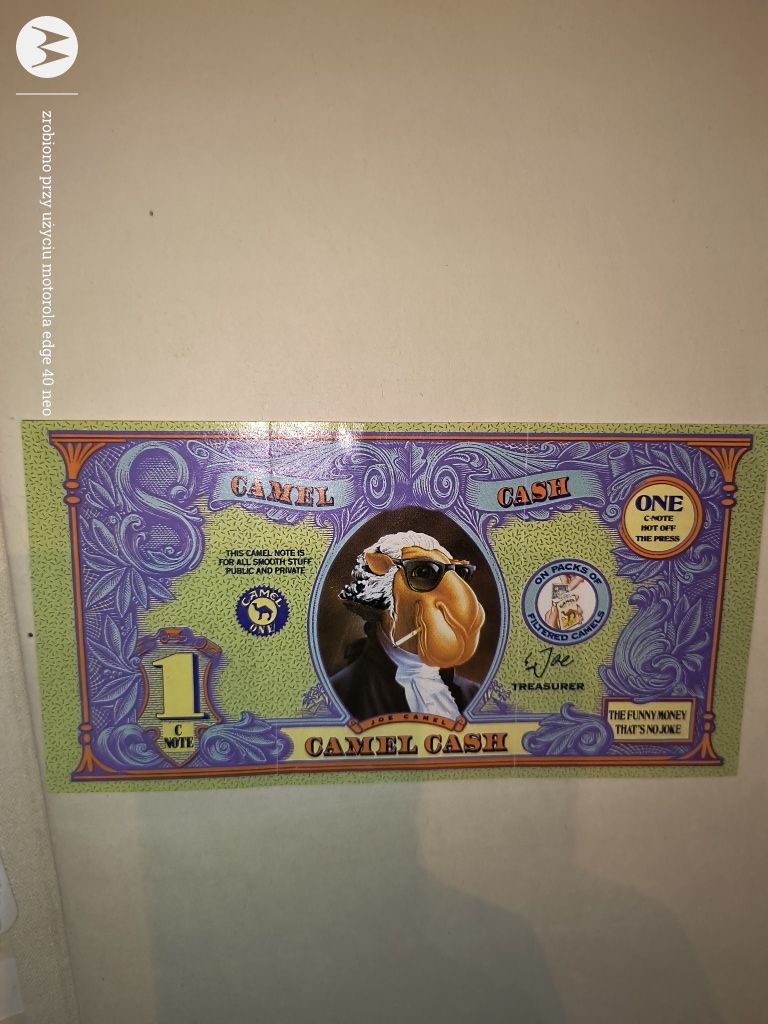 Banknot camel cash