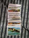 Cromos Fauna Selvagem, anos 80