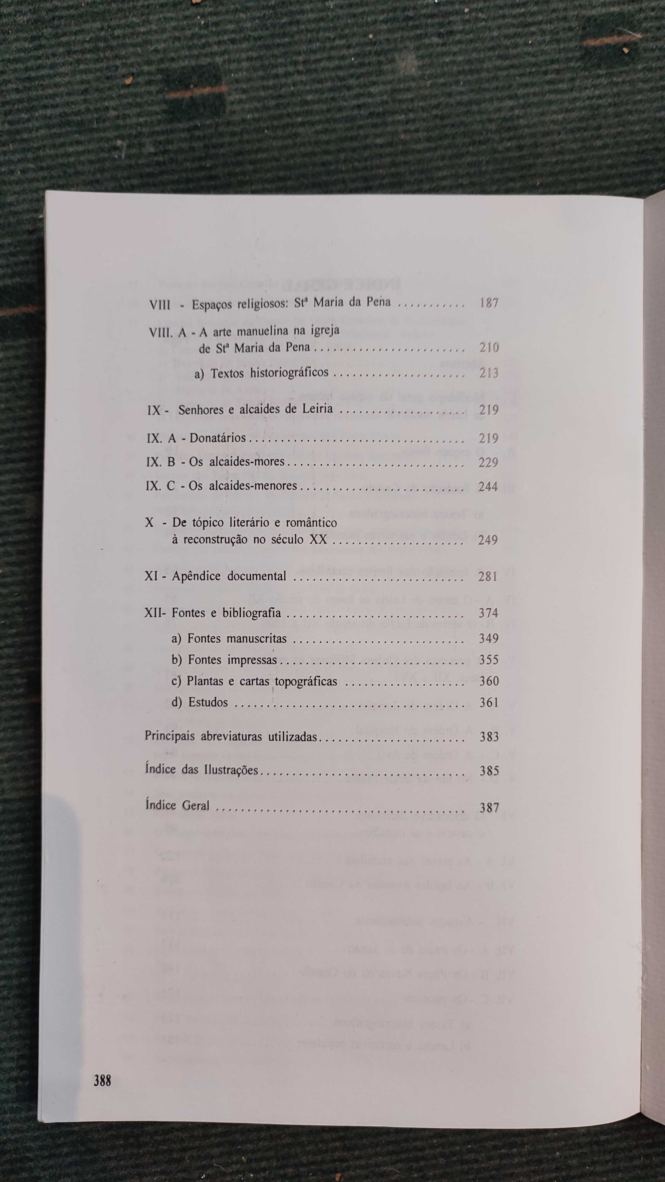 Introdução à História do Castelo de Leiria - Saul António Gomes