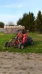 buggy kandi 250cc HOMOLOGACJA!!!