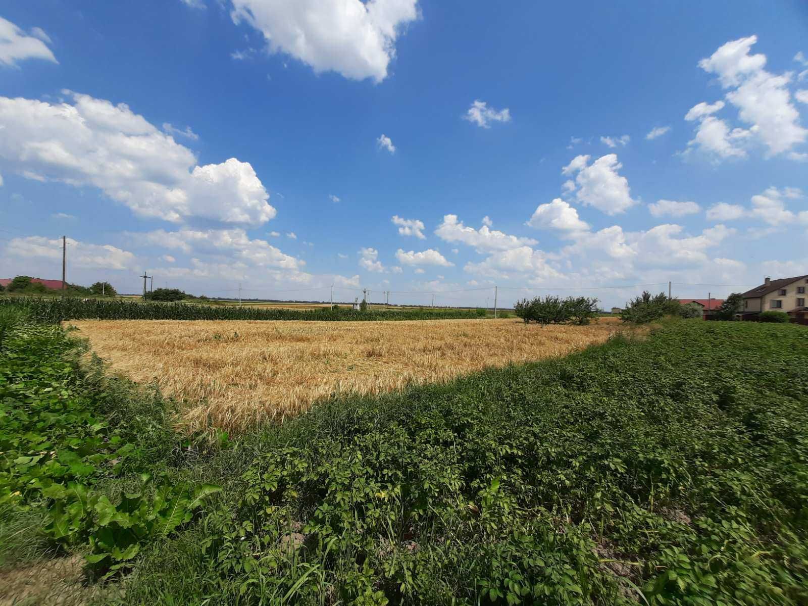 продам участок під забудову приватного будинку в с. В. Стариця