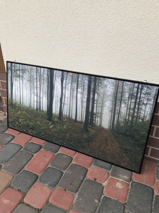Piękny obraz „ leśny mglisty krajobraz”