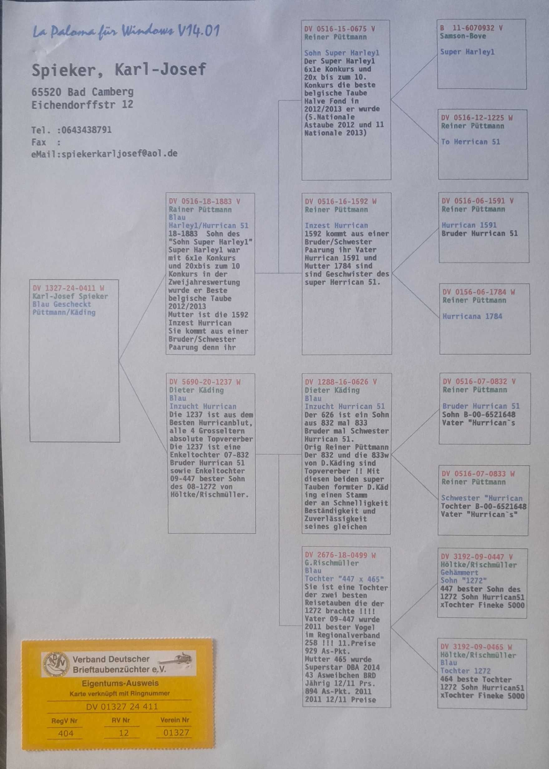 Super młode po top rodzicach !!! OKAZJA !!!
