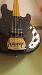 Gitara basowa: Sterling by Music Man, Ray 4 Stingray Bas