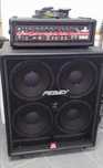 PEAVEY Firebass 700  USA