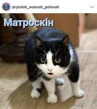 Кіт Матроскін