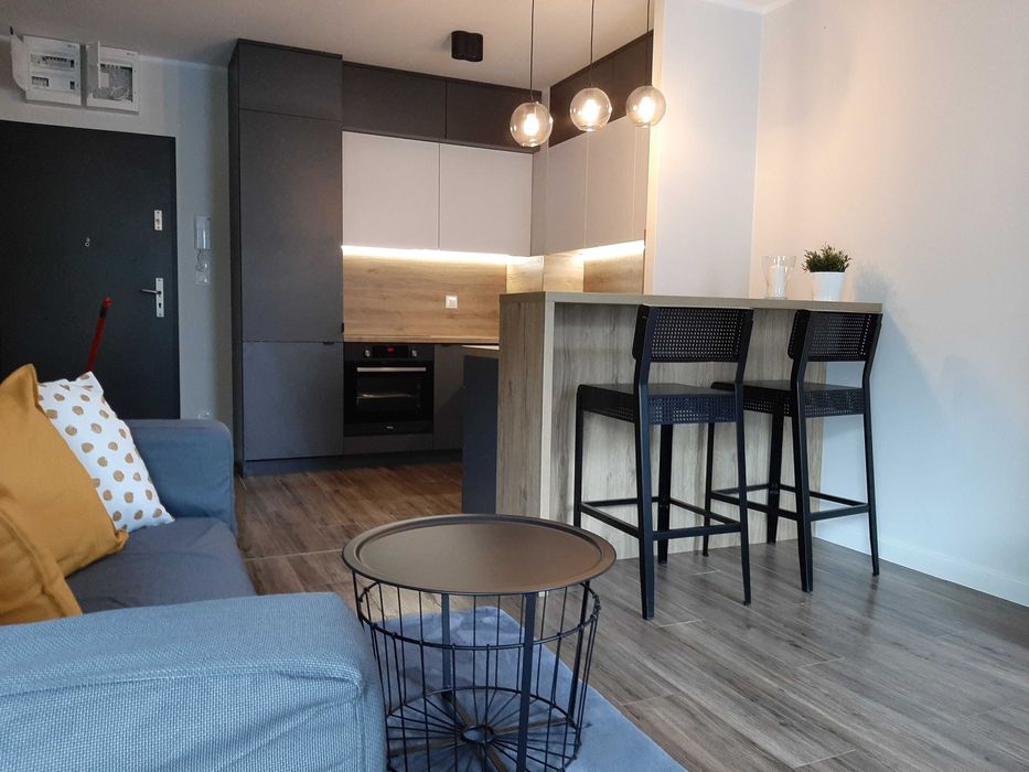 Mieszkanie na wynajem od 01.01