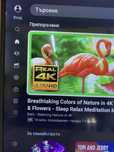 Телевизор Samsung 49 диагональ
