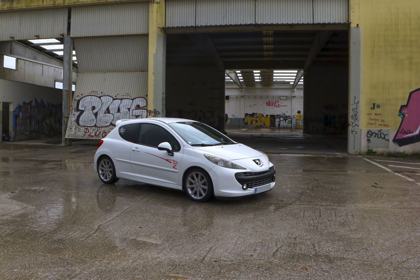 Peugeot 207 Rally Nº 57/100 – Edição Limitada Certificada