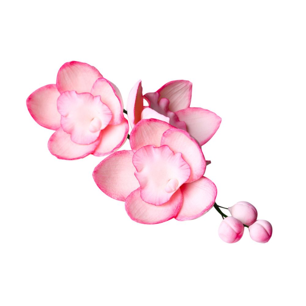 Веточка орхидеи тонированная сахарный декор  Флористика