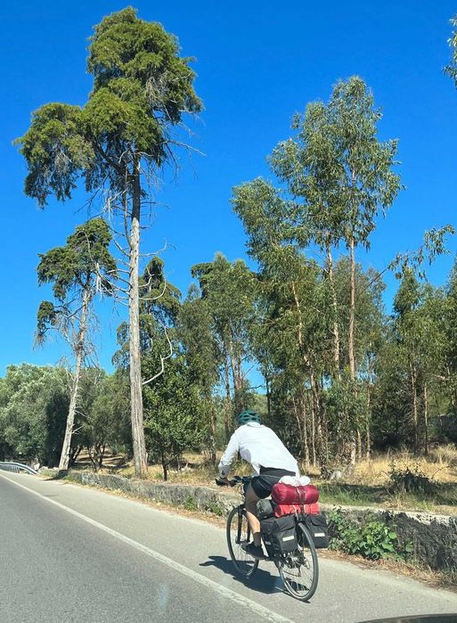 Bicicleta Staiger (Marca Alemã da Gama Premium) - USADA