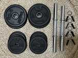 Conjunto de halteres