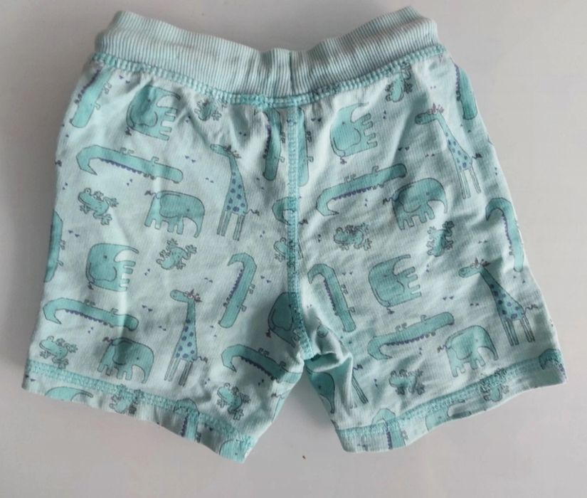Krótkie Spodenki Cool Club r 74 (6-12 m-cy) 100% bawełna CoolClub SMYK