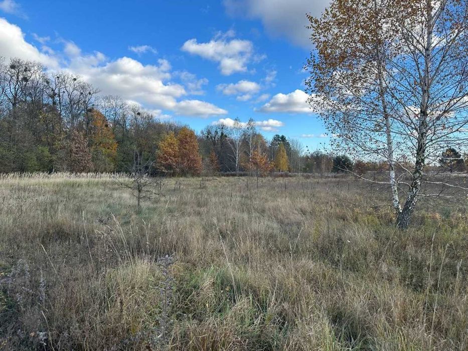 Продаж ділянки 38сот під забудову. Електрика поруч. Біля лісу. ID:732