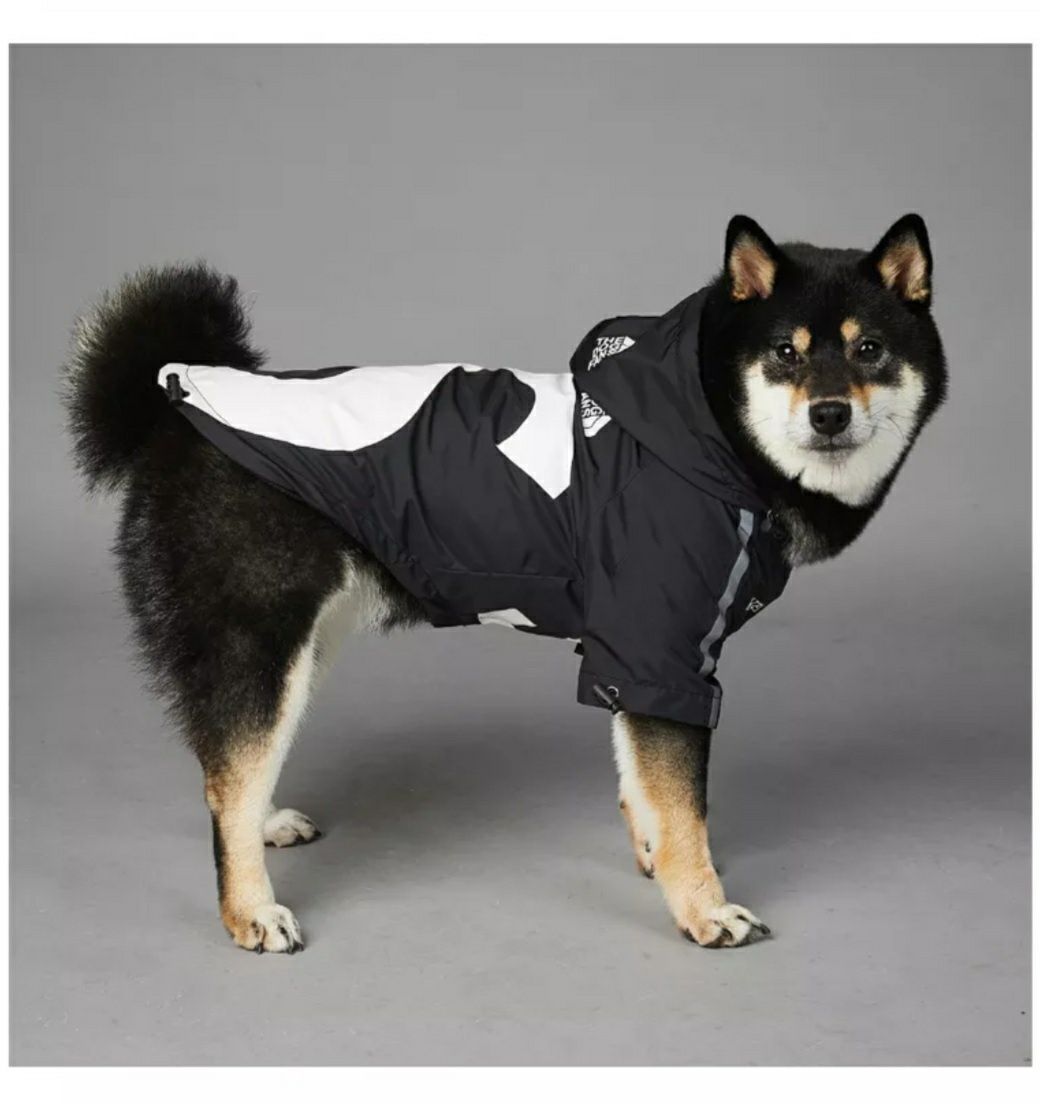Водонепроницаемая куртка для собак, одежда для животных весна-осень.