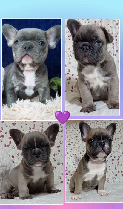 Милі та кумедні хлопчики та дівчатка