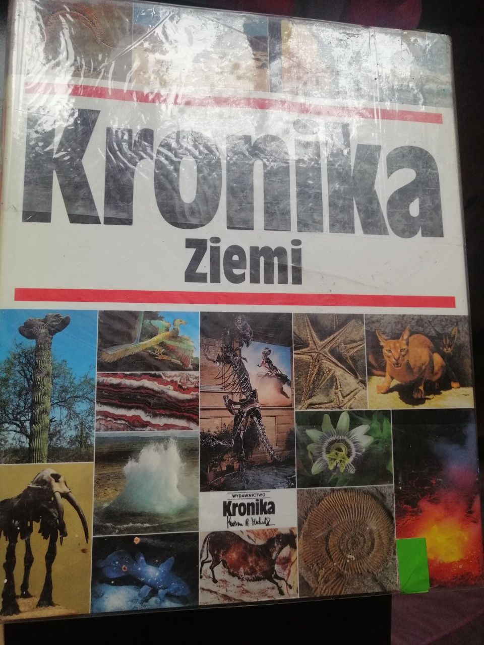 Kronika ziemi twarda oprawa