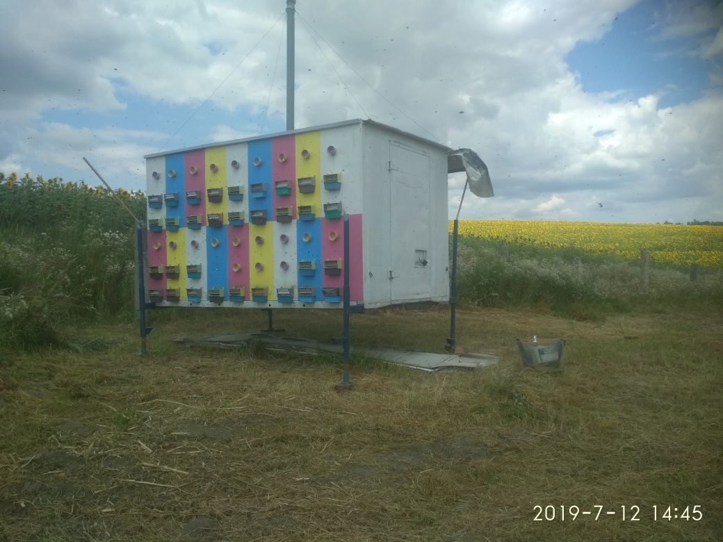 Бджолопавільйон , пчелопавильон , пасіка , бджоли , берендей , вулики.