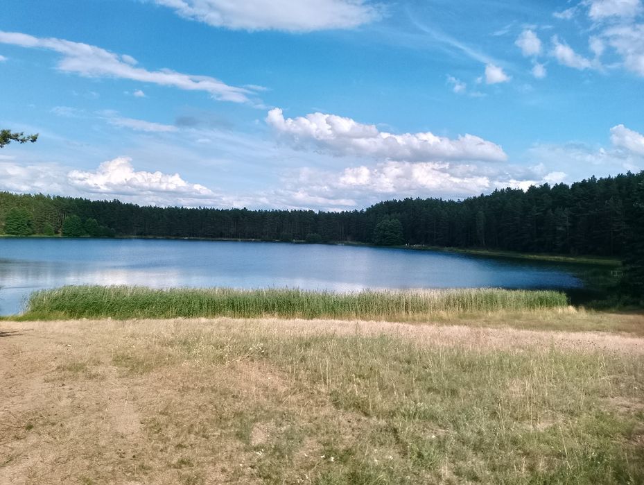 Lawendowy całoroczny komfortowy domek z kominkiem na Kaszubach