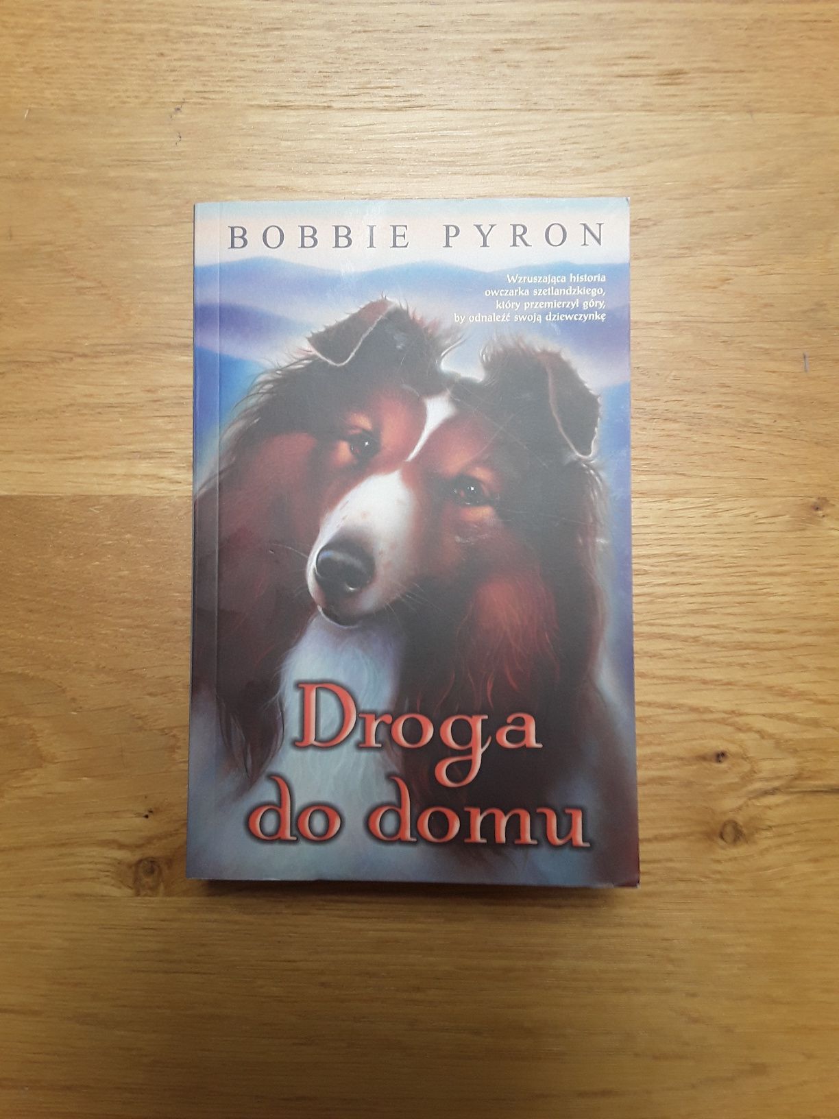 Książka dla dzieci " Droga do domu".