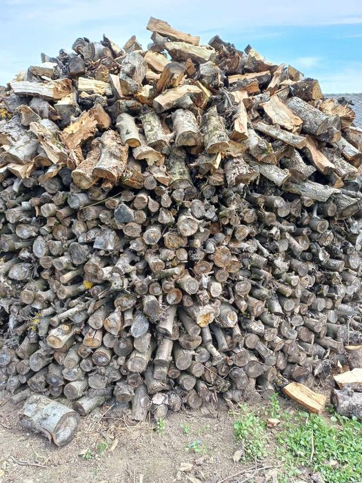 Drewno opałowe, drewno kominkowe - jabłonowe, jabłoń