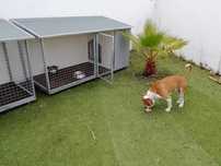 Casotas e abrigos para animais