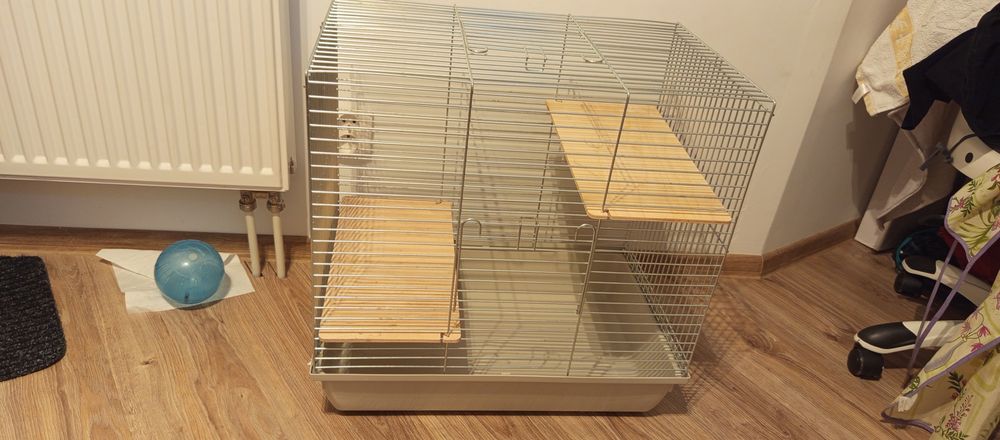 Chomik syryjski (młoda) razem z klatką