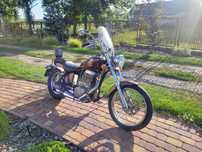Suzuki ls650 savage
