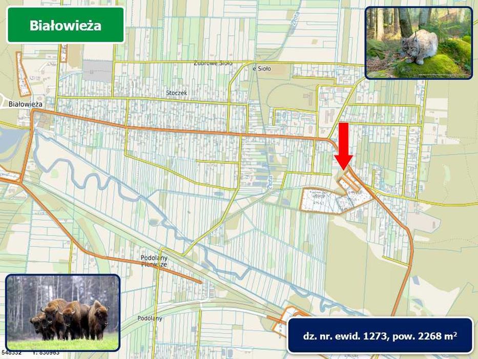 Sprzedam działkę w Białowieży (2268 m² ) ul. Stoczek