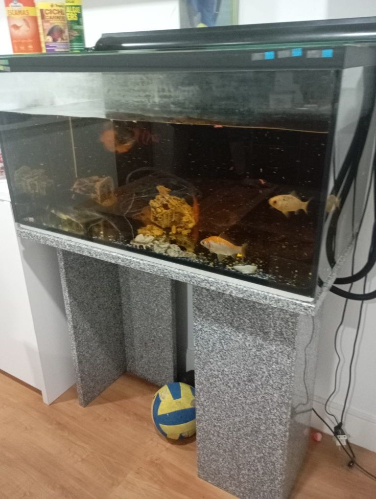 Aquário e peixes e bomba de água e termômetro