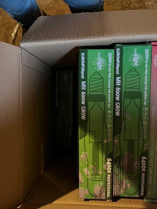 Lâmpadas HPS, CFL, MH