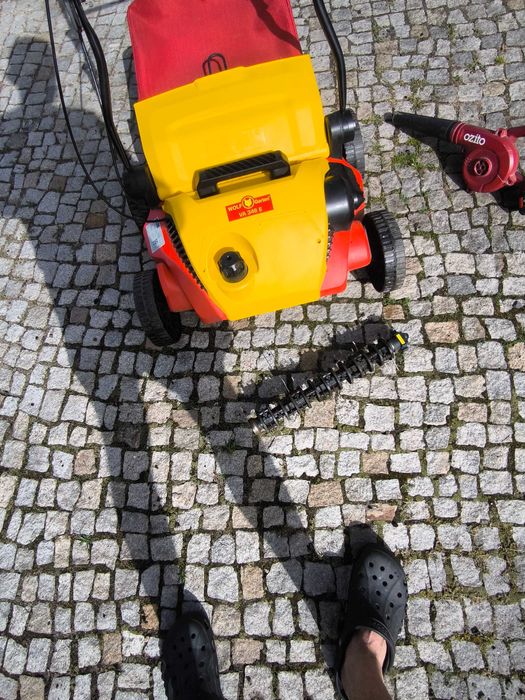 Wertykulator Elektryczny Wolf