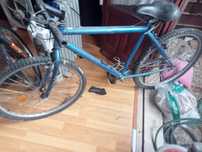 Bicicleta Azul (Adulto)