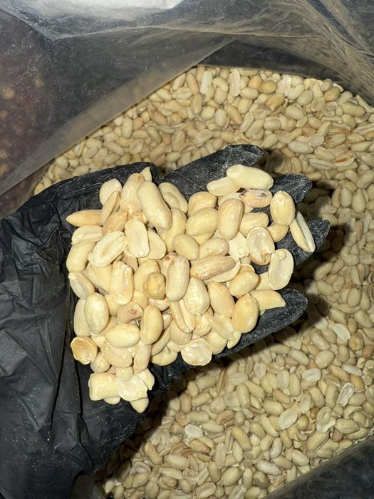 Арахіс сирий,жарений,бланширований,сольоний