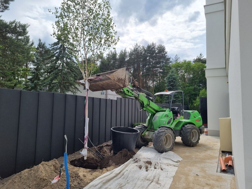 Ogrody, Prace Ziemne Zakładanie Trawników, Nawadnianie, Sadzenie Drzew