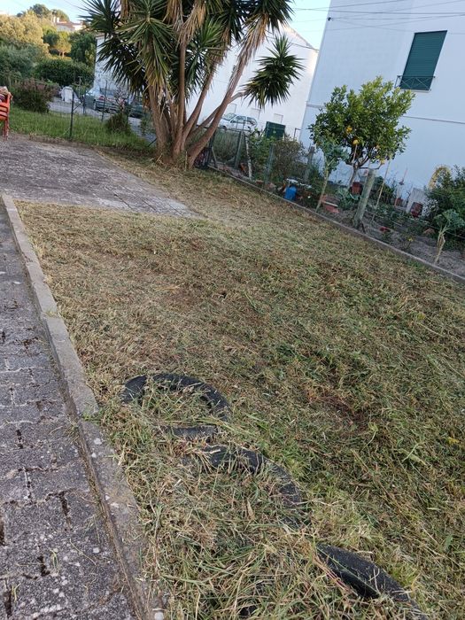 Limpeza de terreno,quintais, jardins com  roçadora