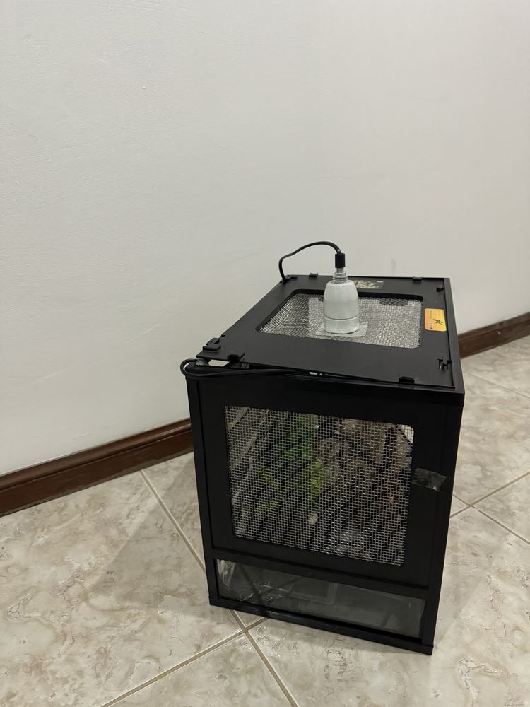 Terrario para repteis
