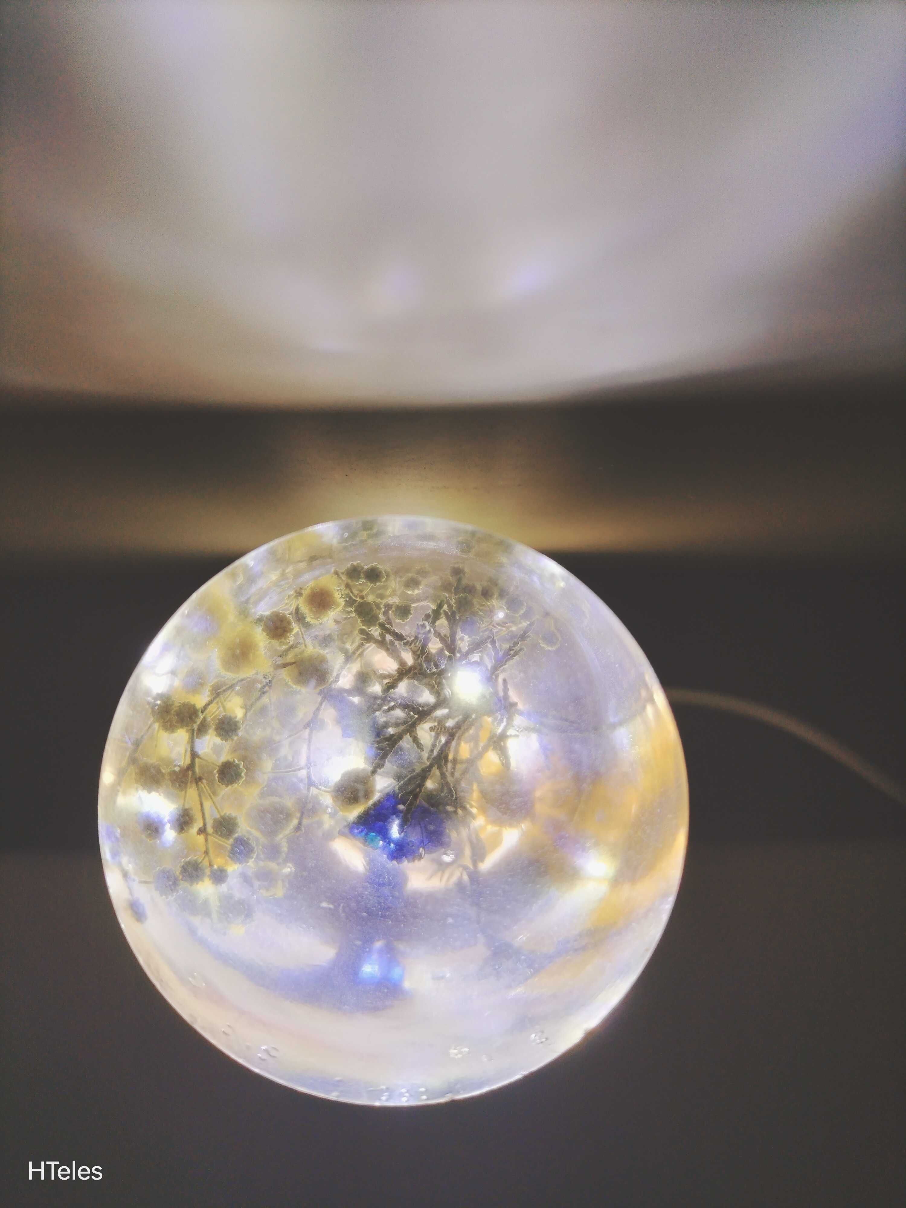 Luz noturna com flores naturais em resina