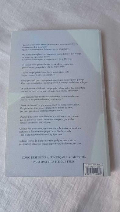 Livro O poder está dentro de si de Louise L. Hay