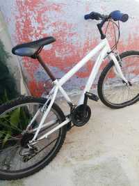 Bicicleta roda 24