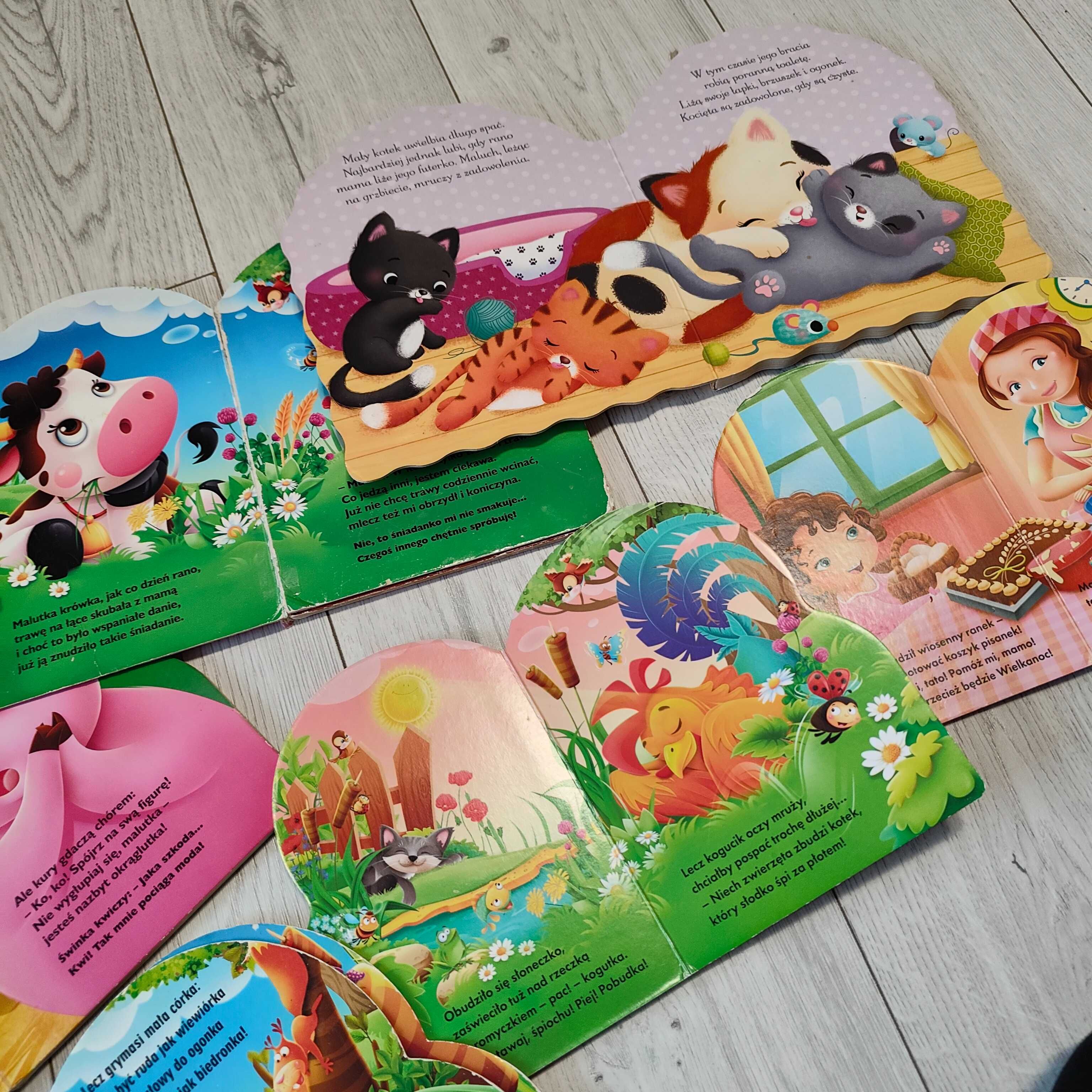 Książeczki o zwierzątkach 6 sztuk