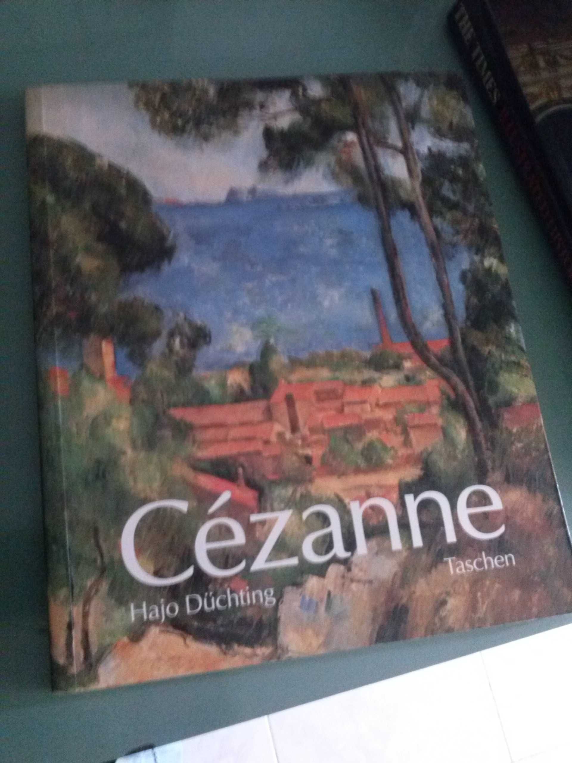 Livro sobre Cézanne