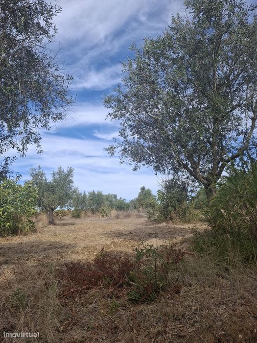 Terreno Rústico Tapada