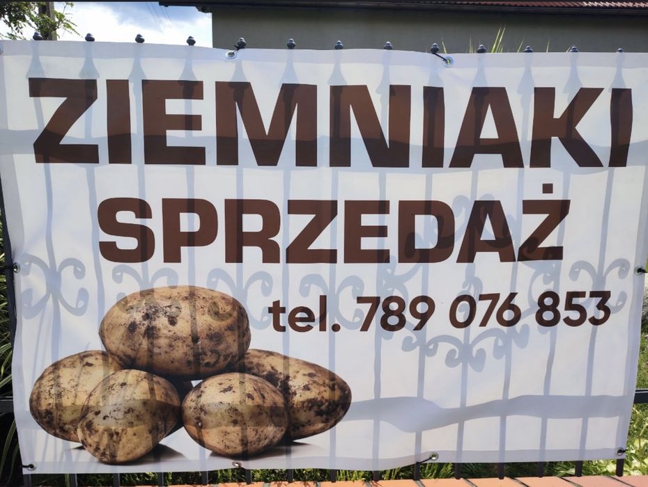Ziemniaki zimowe