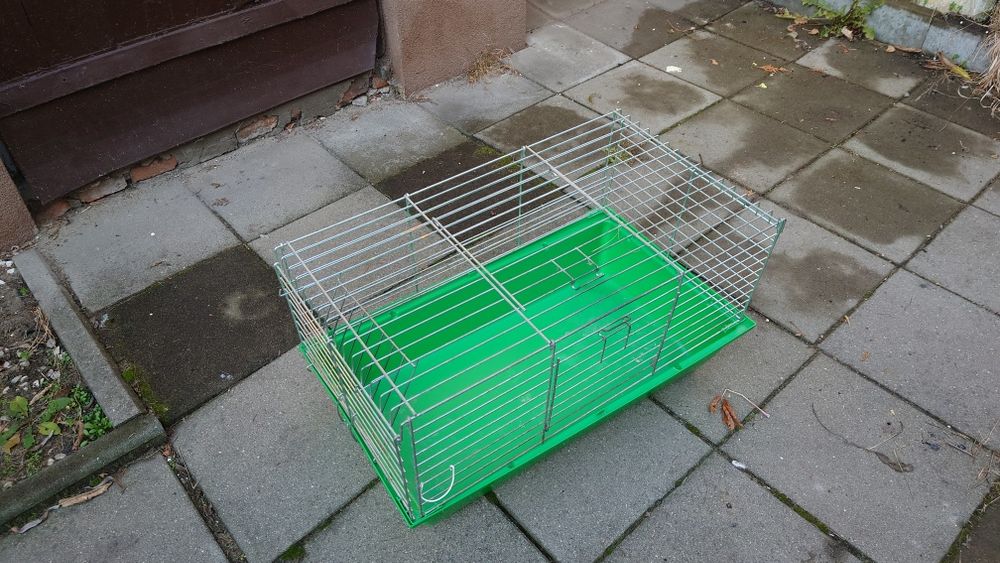 Klatka i koszyczek na świnkę morska