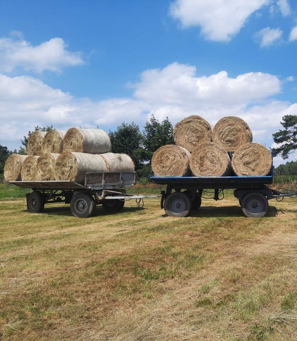 Siano w balotach 120cm