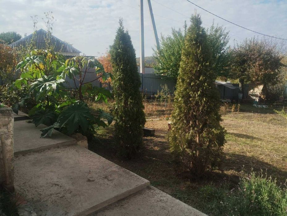 Продам дом под реконструкцию в Диевке