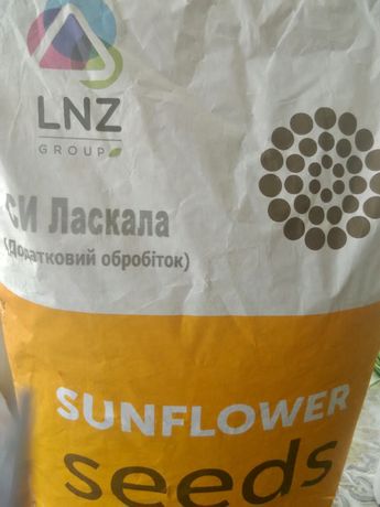 Продам насіння соняшника!